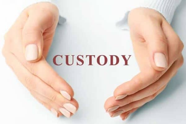 How to get custody of my kid