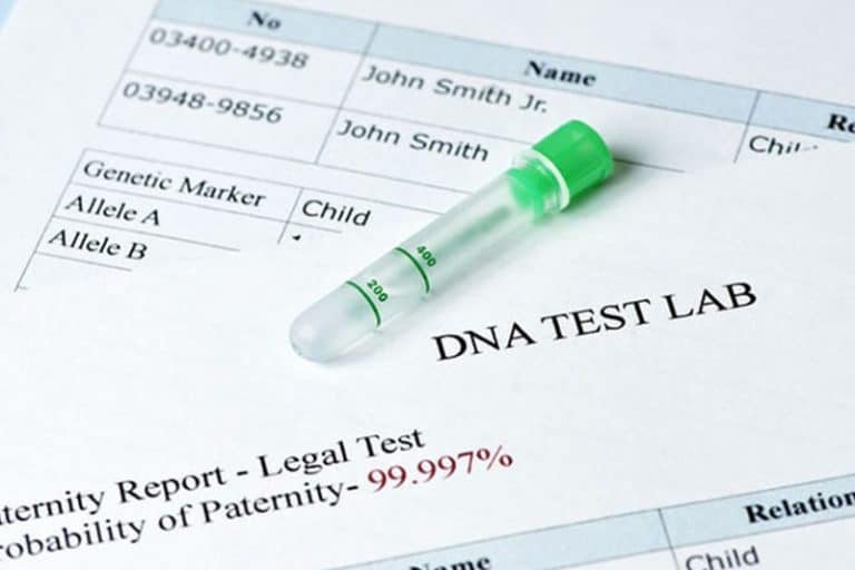 Paternity tests and custody cases Granholm Gynac LLC
